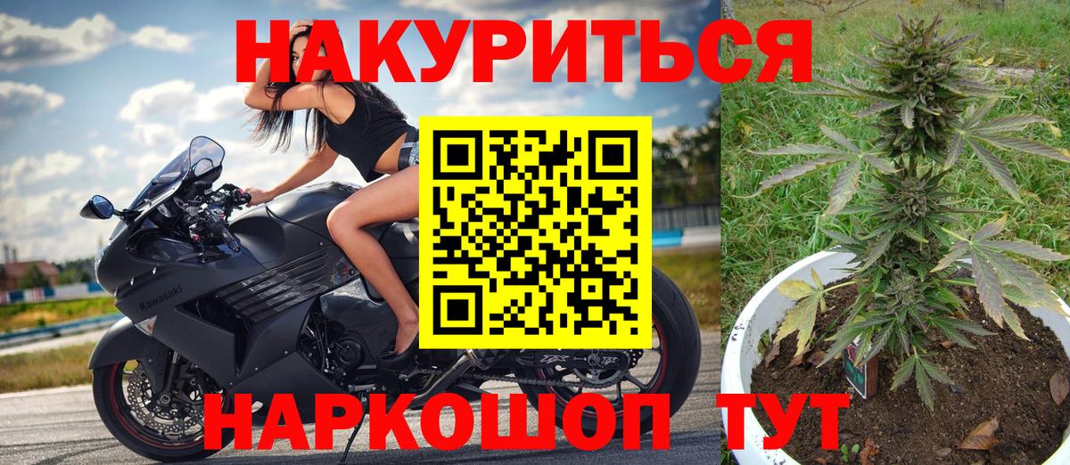 Бошки марихуана конопля  Канабис сатива  Вход с VPN  Соль-Илецк 